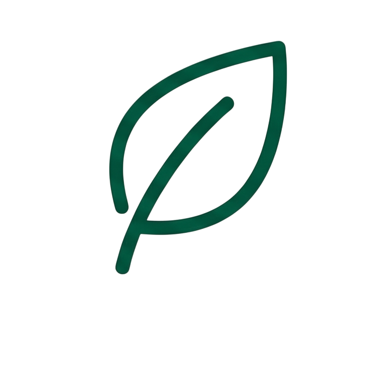 About Us yaprak ikon photoroom